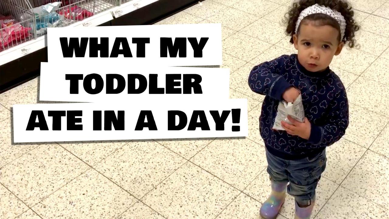 Image for: WHAT MY TODDLER EATS IN A DAY UK